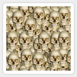 repeating skull pattern Sticker